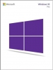 Microsoft® Windows 10 Professional 32-bit English DSP OEI DVD